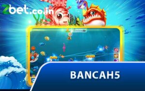 bancah5